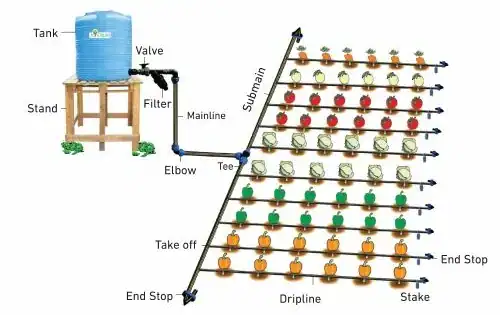 Irrigation system diagram with tank and drip lines.