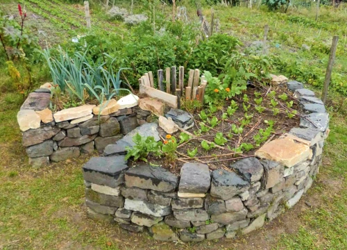 Spiral herb garden with stone walls and vegetables.